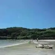 マサ