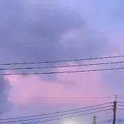 toriの画像