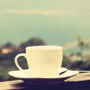 shiroの画像
