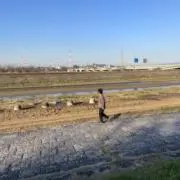しおだの画像