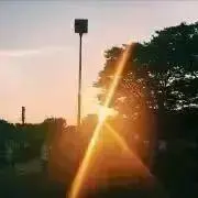 suzuの画像
