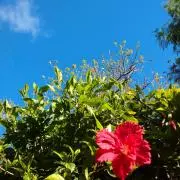 里の画像