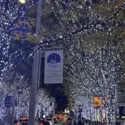 りおの画像