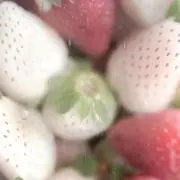 夜々の画像
