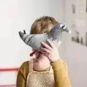 HALの画像