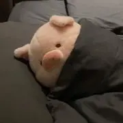 n。の画像