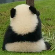 なつ子の画像