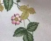 ビオラの画像