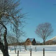 モーリーの画像