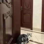 ルオの画像