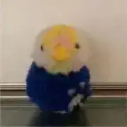 kyonの画像