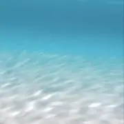 りり。の画像