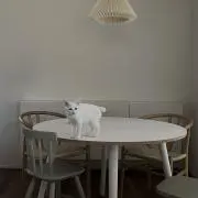 c.