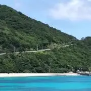 ぽむの画像