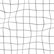 Yの画像