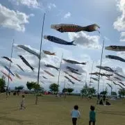 rimama81の画像