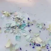 .*。M.* 。の画像