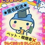 iChi✩.の画像