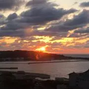 tomatoma自己紹介文ご確認願いますの画像