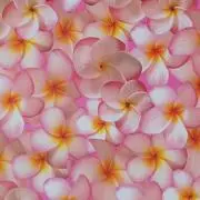 ✱coconut✱の画像