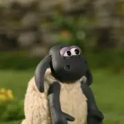 Chippの画像