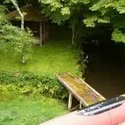 カキツバタ