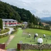 わっさーの画像