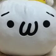 かるがも