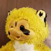 GPの画像