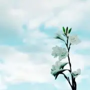 ゆん❤︎ 【匿名発送】