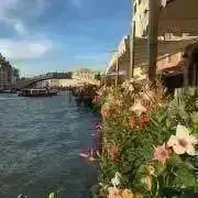 ssamak513の画像