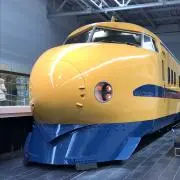 ゆいゆいの画像
