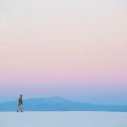 メメ