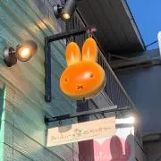 ねぎの画像