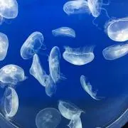 ユンべ☆