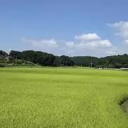 ひま