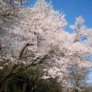 べこ625