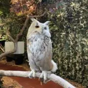 木村さんの画像
