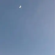 みゆの画像