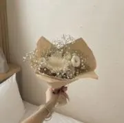 yの画像