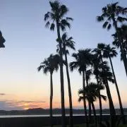 tomoの画像