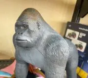 A-ki-raの画像