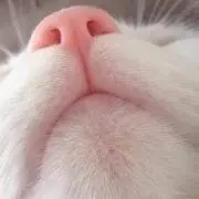 ちえちゃん
