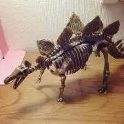 ☆☆☆の画像