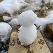 029