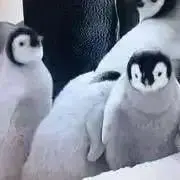 しそ★の画像