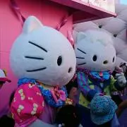 シナモン☆の画像