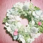 saoring71