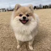 Taku