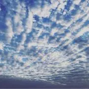 そら(断捨離中 早い者勝ち)の画像